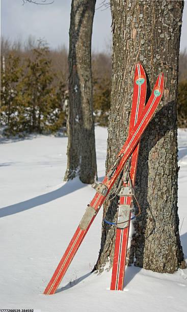 草坪足球场建造